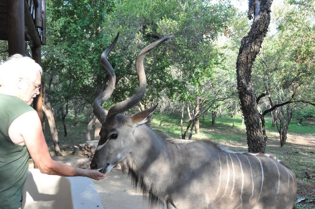 Treetops Marloth Park Buitenkant foto