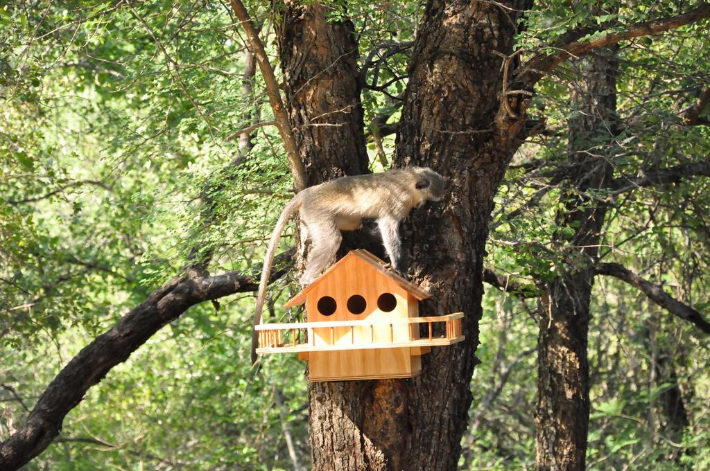 Treetops Marloth Park Buitenkant foto