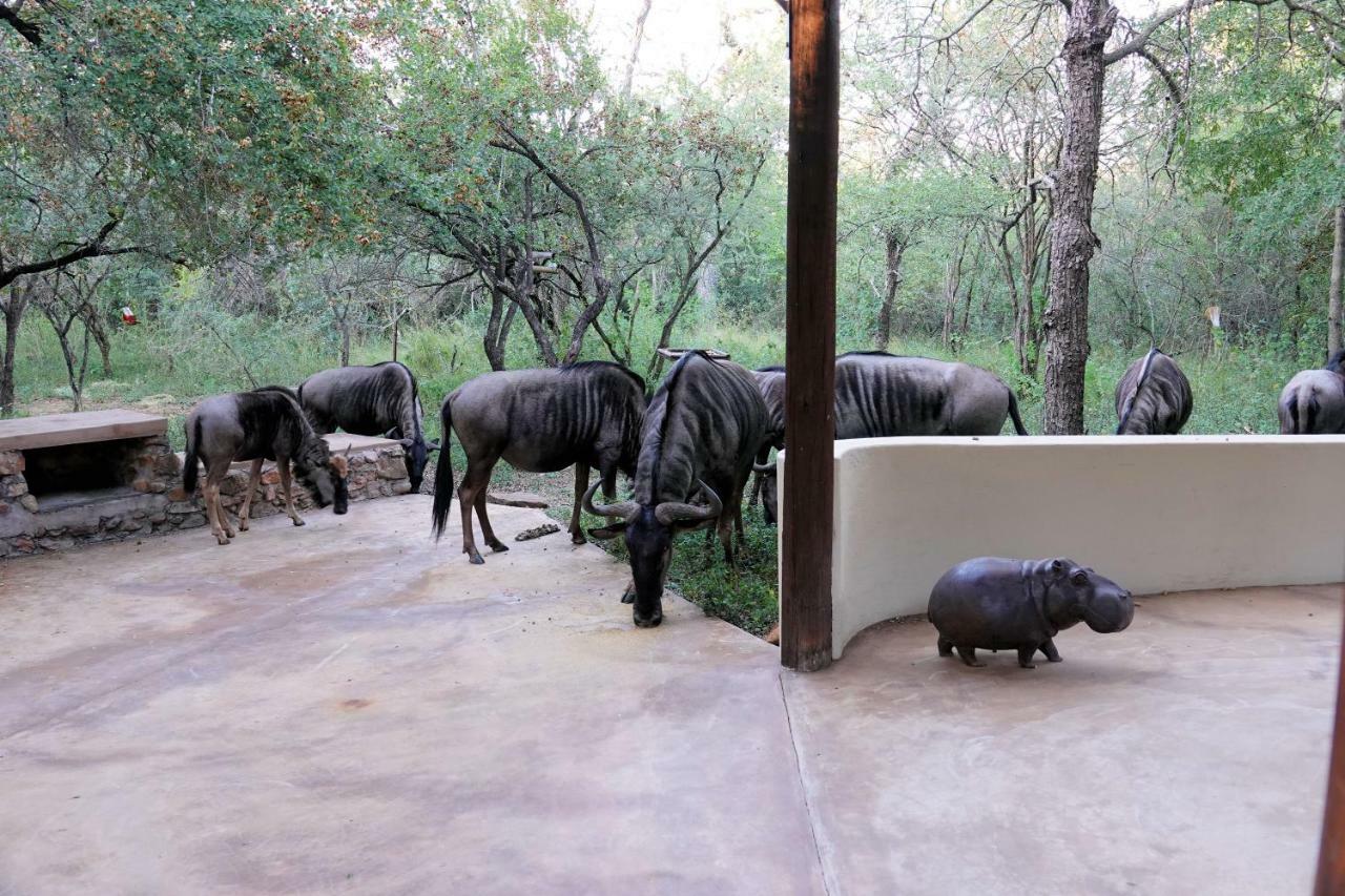 Treetops Marloth Park Buitenkant foto